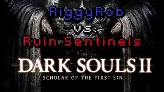 RiggyRob vs. Ruin Sentinels