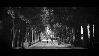 Relax For A Moment - Tree Covered Walkway (Salerno, Italy)