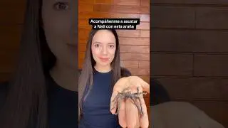 Asusto a Nati con esta ara&ntilde;a 🕷️