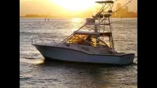 Yacht Transport Video: Loading by Seven Seas Yacht Transport in Port Miami