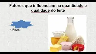Composição Química do Leite