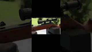 Ruger Impact Max Elite Review