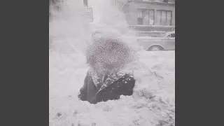 Future Flowers