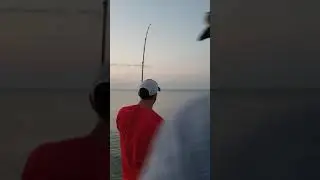 Sand shark that didn't get Away