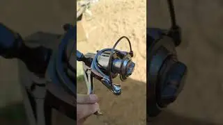 Катушка рыболовная DAYO VOLGA 2000/3000/4000/5000. Фидер. Карп.Спиннинг