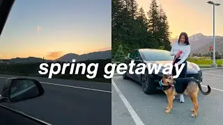 spring road trip + getaway vlog ♡ wholesome beach days, dog-friendly wineries & wine tasting