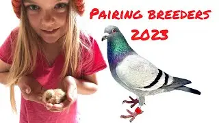 Pairing my 2023 Breeders!