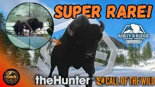 A Diamond Hunt Turned Into the RAREST Trophy of My Life | theHunter COTW