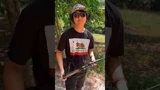 Стрельба из нового Crickett 22LR!