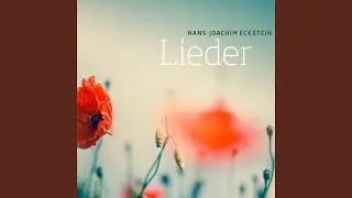 Sieh die Sterne hoch am Himmel