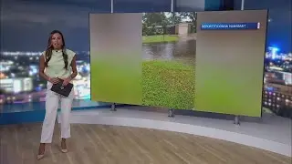 5 Inches of Rain in 40 Minutes Floods Seminole Streets | Residents Blame Drainage Issues