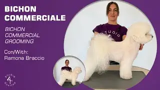 BICHON COMMERCIALE TRAILER