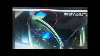 Nash County E&E BLOG Brady Violation
