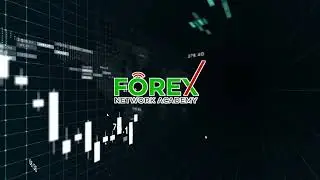 Forex  Network  - Forex Trading explained