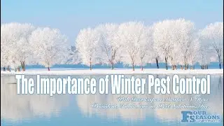 The Importance of Winter Pest Control