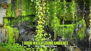 Relaxing Waterfall Ambience with Birdsong | 1 Hour Nature Sound for Sleep & Relaxation