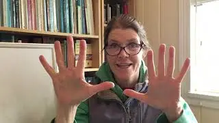 Ms. Wall's Kindergarten Thu May 21 Math