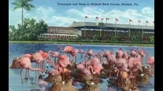 Mr. Golf spotted in Hialeah Park Race Track crowd, circa 1989