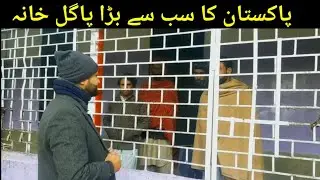 Pakistan Asia ka sab se bara Pagal khana | Biggest Mental Hospital in Pakistan
