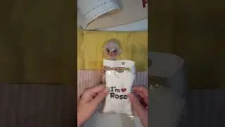 Doll mail~limited ttya Rose Tan #bjd