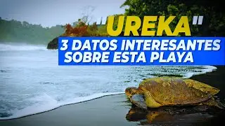 Descubre Ureka, la playa m&aacute;s hermosa de Guinea Ecuatorial.