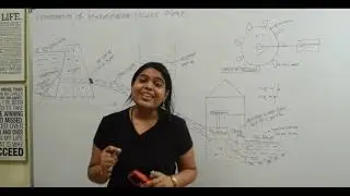 Components of Hydroelectric Power Plant | Hydroelectric Power Plant | Power Pant | Fluid Mechanics