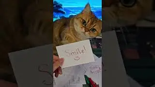 Smiling Cat Ai Funny | short #suspense #love #magic #catshorts #shorts