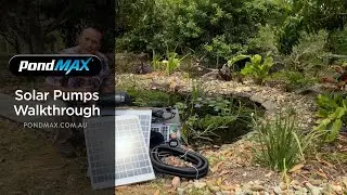 PondMAX Solar Pump Kit
