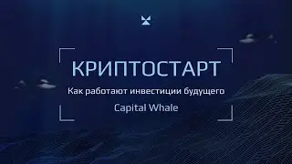 Криптостарт - Как работают инвестиции будущего | Capital Whale