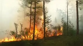 Siberia nella morsa degli incendi. I residenti: 