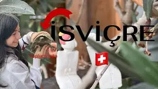 İSVİÇRE’DEN KÜÇÜK BİR GEZİNTİ 🇨🇭✨