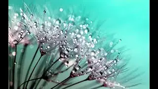 OP Music - Water - #quietmusic #чистыйзвук 🔊 relax music