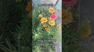 Lecci&oacute;n 309 Libro de ejercicios: Un Curso de Milagros 