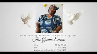 Livestreaming aankomst in Para en singi neti van Ilse Gonda Emnes deel 1