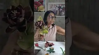 FLOR DO TRIGO, ARRANJO NATALINO 🌹🌹 #floresdovale#floresgigantes