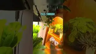 Эти гиперскейпы такие психоделические #vr #quest3 #questcreatorpartner