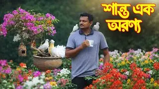 ফুল, পাখি আর শান্ত এক অরণ্য। Bird Friendly Garden