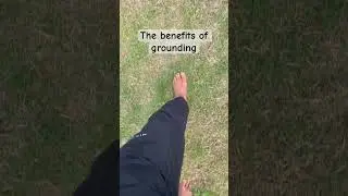 groundingtechnique #groundingpractice #grounding #harvardresearch #changeyourmindsetchangeyourlife