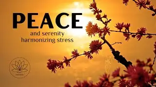Restore Inner Peace | Shamanic Healing Vibration Meditation