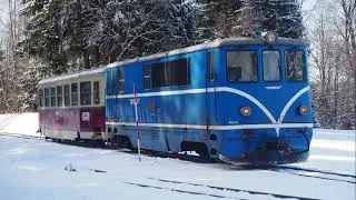 OBEC ALBEŘ- ZIMA 2021
