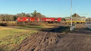 Fepsa con alco 8471 y G12 6637 saliendo de Catrilo (23/06/24)