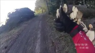 wurzelweg und schnelle abfahrt