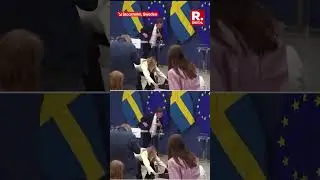 Sweden&rsquo;s Health Minister Elisabet Lann Collapses During Press Conference