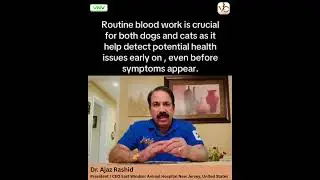 Why Annual Blood Work is Essential for Pets | Dr. Ajaz Rashid | Pet Practice Series | Vet Connect