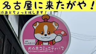 ライブ  「近鉄電車をお見送り」【名古屋駅】