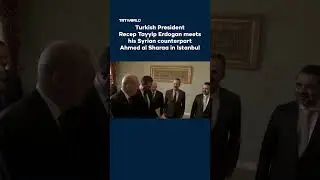 Turkish President meets his Syrian counterpart in Istanbul