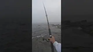 Shore tautog fishing in the fog!