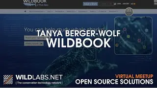 Tanya Berger-Wolf: WildBook | Wildme