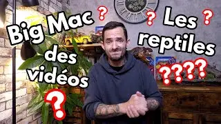 Je n'ai plus de reptile ? Explication (toutes les r&eacute;ponses &agrave; vos questions)