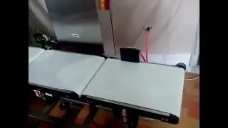 Zegoo inline in-motion  checkweigher product test